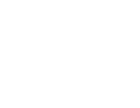 Carlisle SynTec Systems