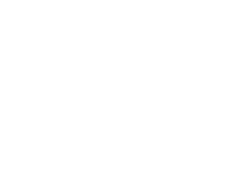 Carlisle SynTec Systems
